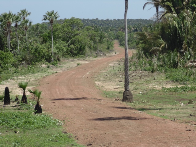 Prefeito de União inaugura mais uma estrada no interior - Imagem 3