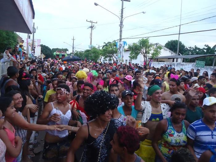 Com 33 anos, Bloco Os Gatões quer bater novo recorde em União - Imagem 2