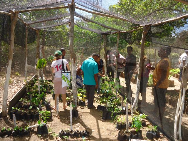 Programa Cisternas nas Escolas faz escola Liberato Vieira ser referência no Nordeste - Imagem 17