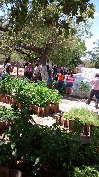 Programa Cisternas nas Escolas faz escola Liberato Vieira ser referência no Nordeste - Imagem 2