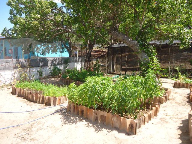 Programa Cisternas nas Escolas faz escola Liberato Vieira ser referência no Nordeste - Imagem 9