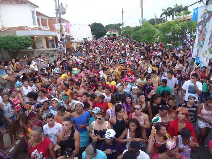 Com 33 anos, Bloco Os Gatões quer bater novo recorde em União - Imagem 3