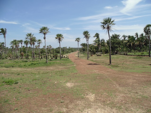 Prefeito de União inaugura mais uma estrada no interior - Imagem 1