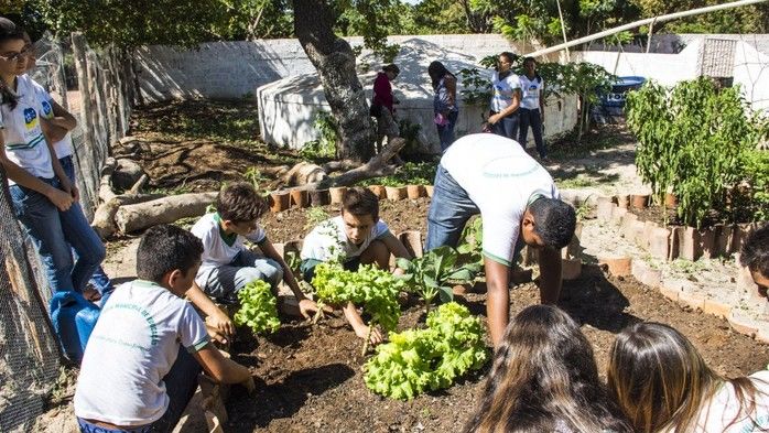 Programa Cisternas nas Escolas faz escola Liberato Vieira ser referência no Nordeste - Imagem 1
