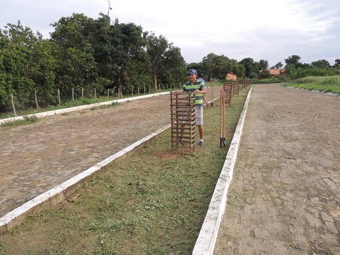 Prefeitura faz plantio de mudas na orla do açude municipal - Imagem 1