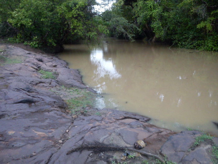Agricultura Comprometida Pela Falta de Chuva - Imagem 4