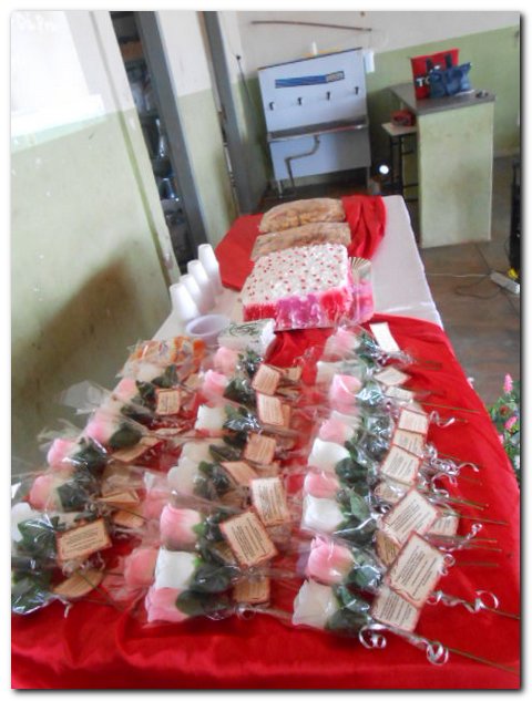 Secretário de Assistência Social Erivan Almondes presta homenagem pela passagem do Internacional da Mulher (08 de Março) - Imagem 2