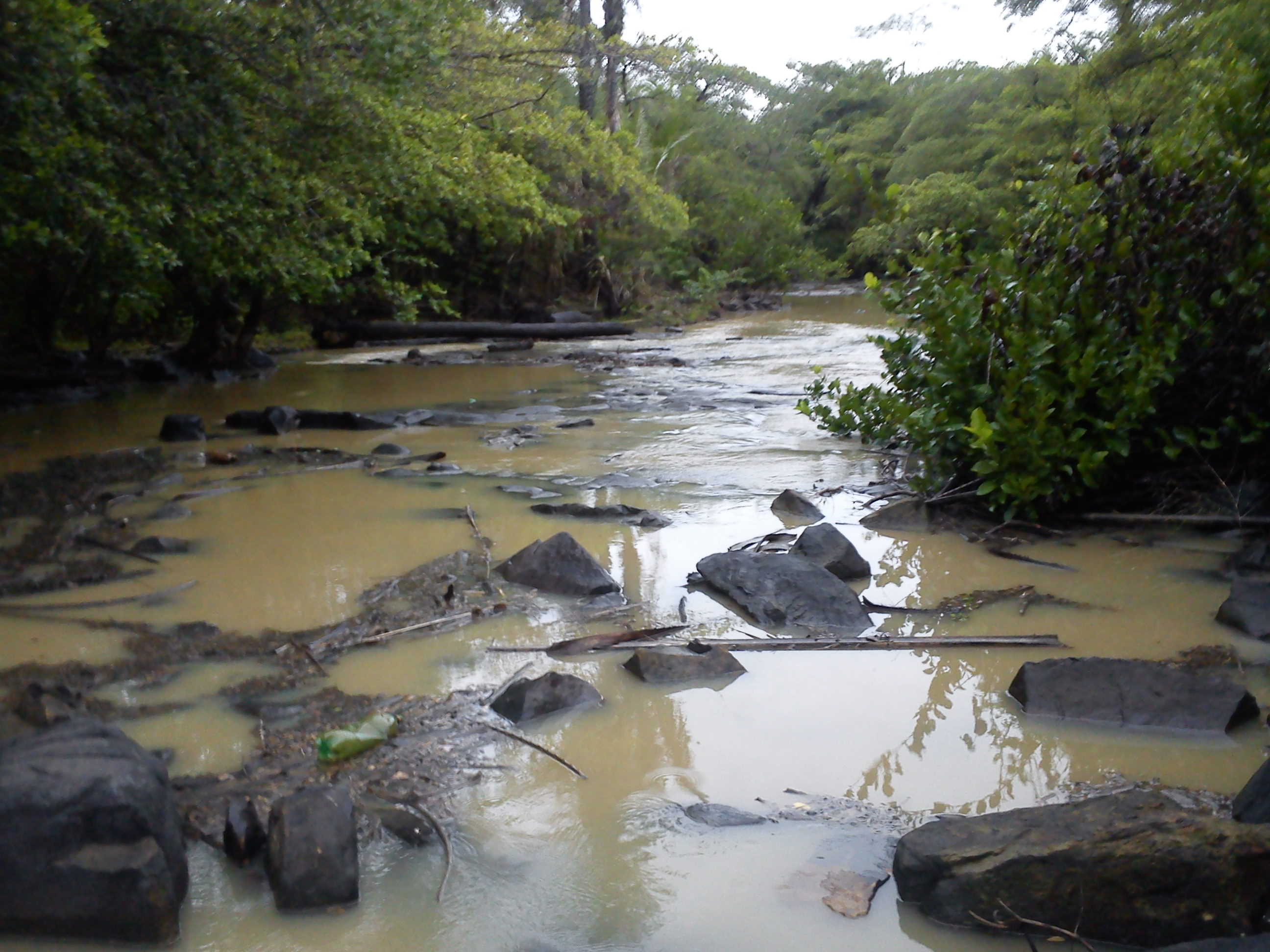 Agricultura Comprometida Pela Falta de Chuva