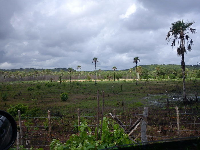 Agricultura Comprometida Pela Falta de Chuva - Imagem 1
