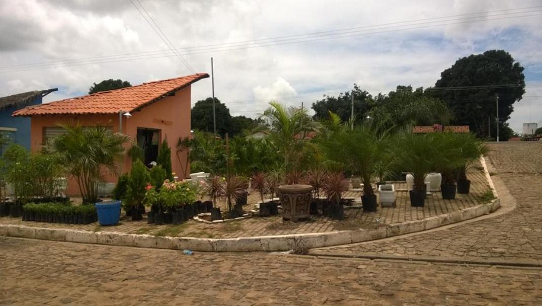 Inauguração K & M Paisagismo na cidade de Água Branca