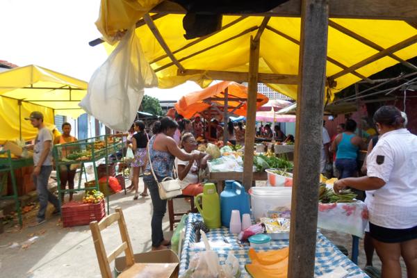 Movimentação feira livre de Amarante - Imagem 14