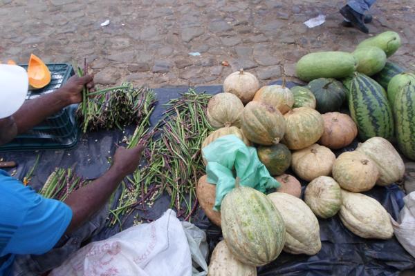 Movimentação feira livre de Amarante - Imagem 9
