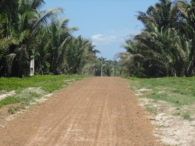 Gustavo Medeiros inaugura mais uma estrada no interior de União - Imagem 1