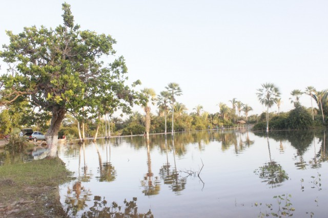 Prefeitura recupera mais 15 km de estradas na zona rural de Miguel Alves  - Imagem 9