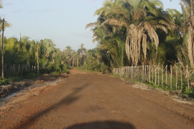 Prefeitura recupera mais 15 km de estradas na zona rural de Miguel Alves  - Imagem 3