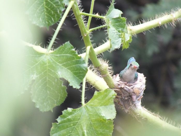 Curso de Rapel em DEL será cena de filme com coprodução Brasil/Uruguai - Imagem 19