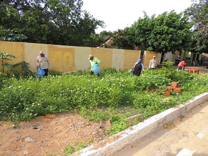 Milton Brandão realiza operação de limpeza no combate a Dengue - Imagem 3