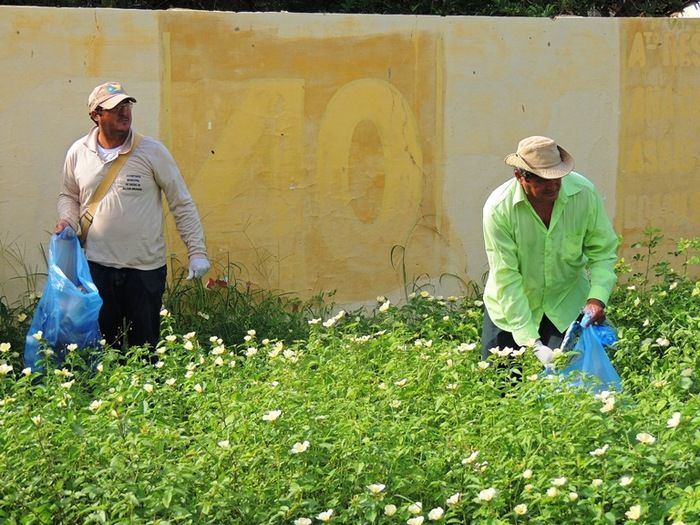 Milton Brandão realiza operação de limpeza no combate a Dengue - Imagem 4