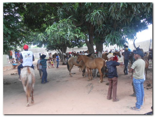 Comunidade inhumense participou ativamente das atividades religiosas do Festejo de São José 2015 - Imagem 19