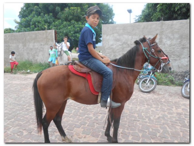 Comunidade inhumense participou ativamente das atividades religiosas do Festejo de São José 2015 - Imagem 23