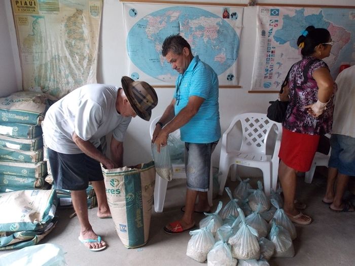 Secretaria Municipal de Agricultura faz entrega das sementes de feijão para os agricultores  - Imagem 7