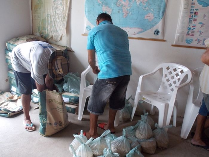 Secretaria Municipal de Agricultura faz entrega das sementes de feijão para os agricultores  - Imagem 1