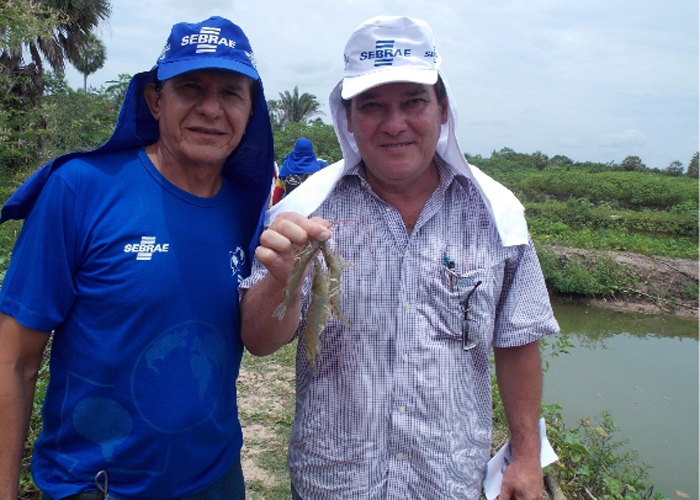 Prefeito de União e Sebrae incentivam criação de camarão na zona rural - Imagem 2