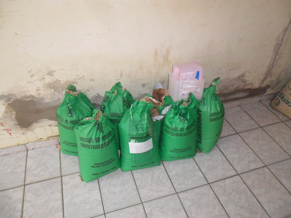 Prefeitura de Lagoinha do Piauí distribui sementes de Milho e Feijão - Imagem 2