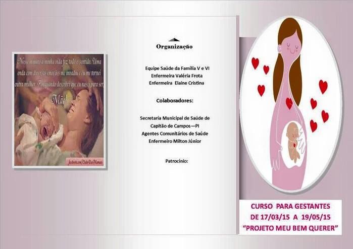 Enfermeiras desenvolvem projeto com as gestantes no município  - Imagem 12