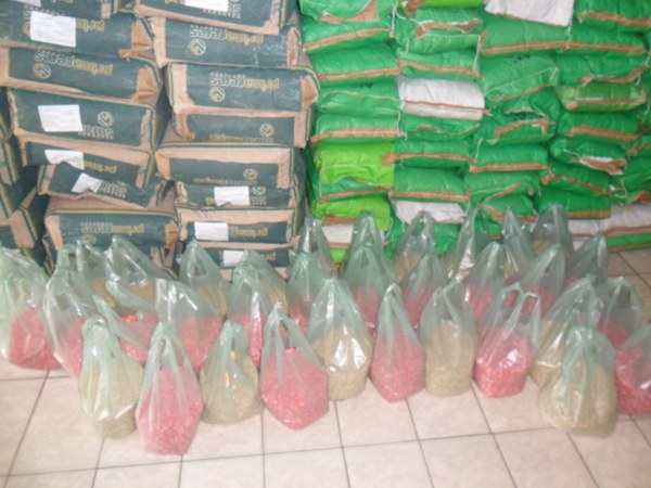 Prefeitura de Lagoinha do Piauí distribui sementes de Milho e Feijão - Imagem 4