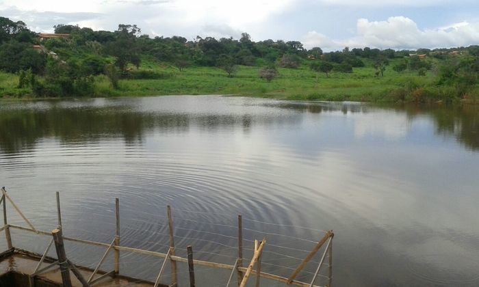 Moradores de Francinópolis comemoram a sangria do açude do peixe - Imagem 4