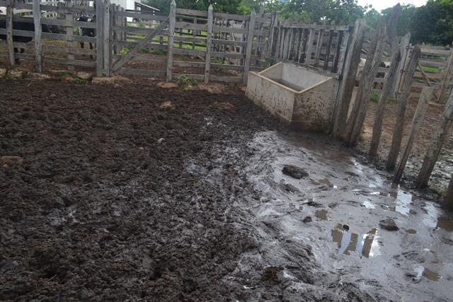 Subseção da OAB de Valença visita matadouro e pede melhorias - Imagem 15