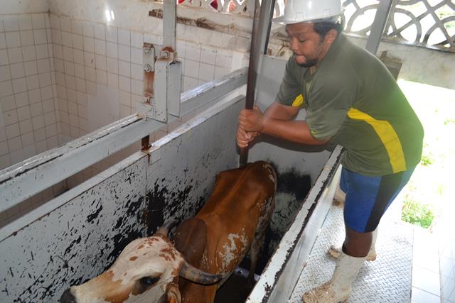 Subseção da OAB de Valença visita matadouro e pede melhorias - Imagem 7