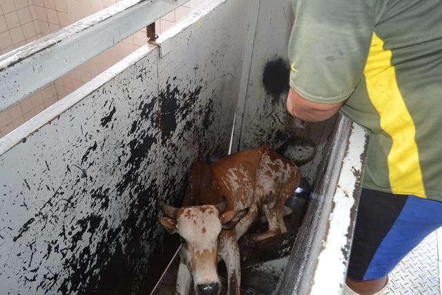 Subseção da OAB de Valença visita matadouro e pede melhorias - Imagem 8