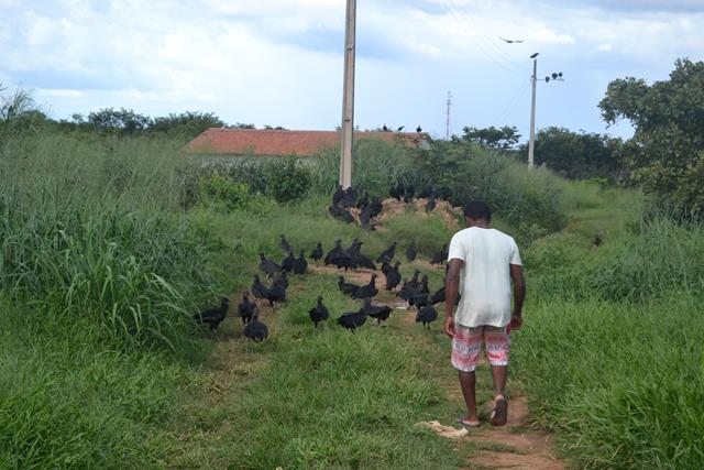 Subseção da OAB de Valença visita matadouro e pede melhorias - Imagem 16