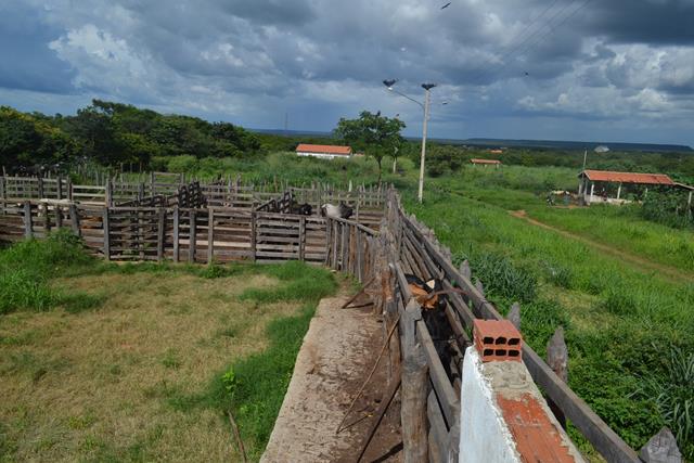 Subseção da OAB de Valença visita matadouro e pede melhorias - Imagem 14