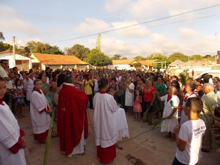 Centenas de fiéis participam da Missa de Ramos  - Imagem 8