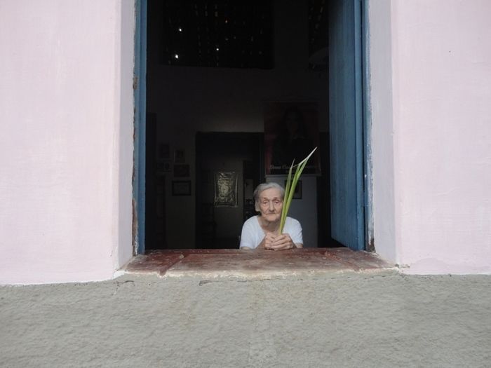 Paróquia inicia Semana Santa com Missa de Domingo de Ramos - Imagem 8