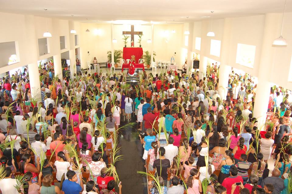 Centenas de fiéis participam da Missa de Ramos 