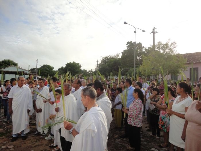 Paróquia inicia Semana Santa com Missa de Domingo de Ramos - Imagem 7