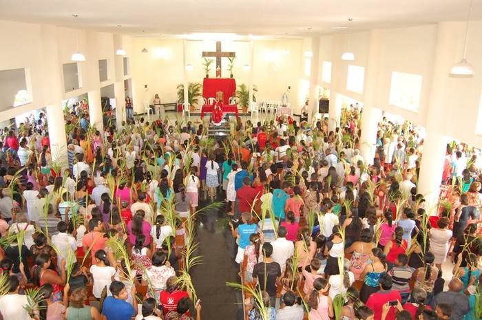 Centenas de fiéis participam da Missa de Ramos  - Imagem 6