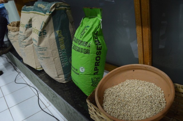 Miguel Alves recebe 3 toneladas de sementes para agricultura familiar  - Imagem 4