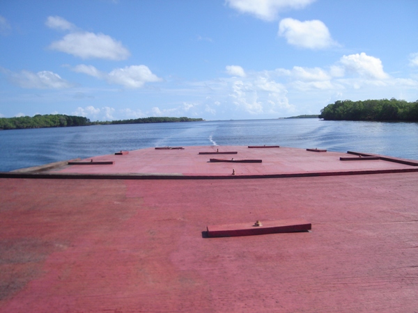 Rota Ecológica de Cajueiro da Praia vai gerar emprego e renda para os jovens, diz prefeita Vânia Ribeiro - Imagem 4