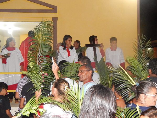Fieis participam da Procissão de Ramos em Lagoinha  - Imagem 2
