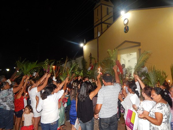 Fieis participam da Procissão de Ramos em Lagoinha  - Imagem 9