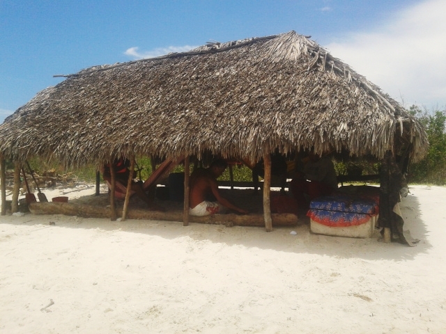 Rota Ecológica de Cajueiro da Praia vai gerar emprego e renda para os jovens, diz prefeita Vânia Ribeiro - Imagem 9