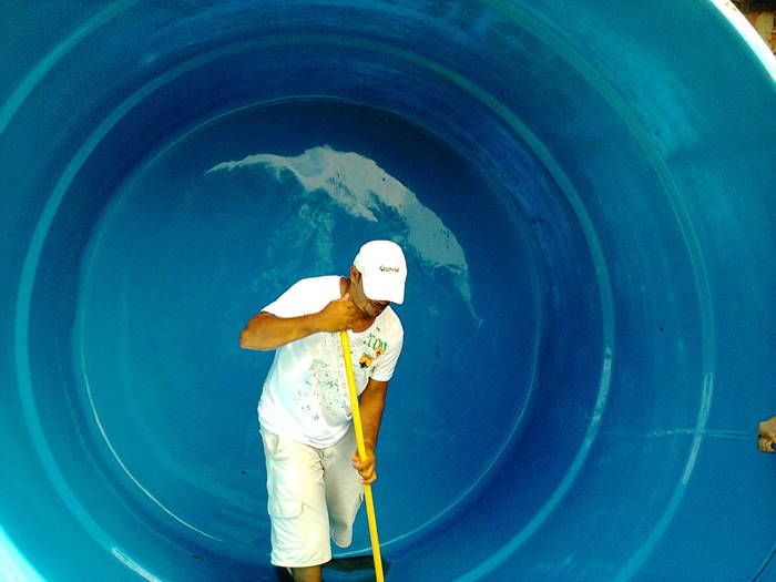 Vigilância Sanitária de Regeneração em ação - Imagem 1