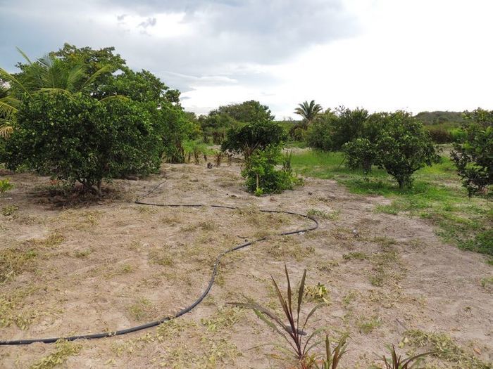 O melhor investimento com retorno certo - Imagem 40