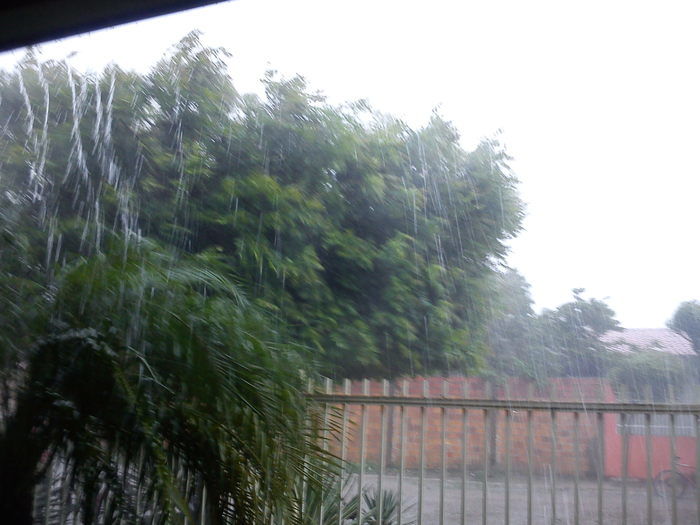 Forte Chuva Anima Agricultores - Imagem 1