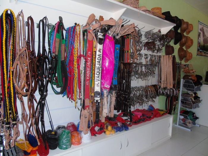 Agromax abre suas portas e nas primeiras horas vendas  superam expectativas  - Imagem 12